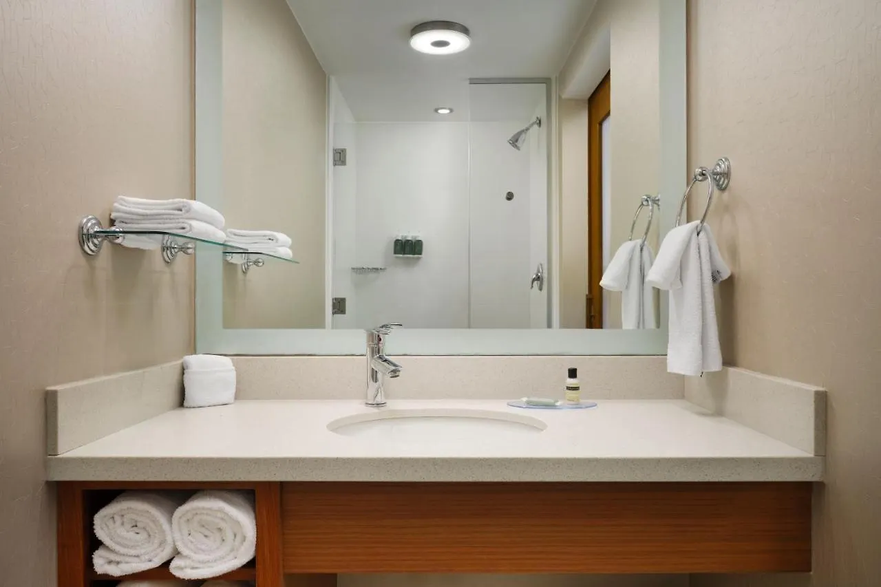 Springhill Suites By Marriott Pittsburgh Mt. Lebanon Stati Uniti