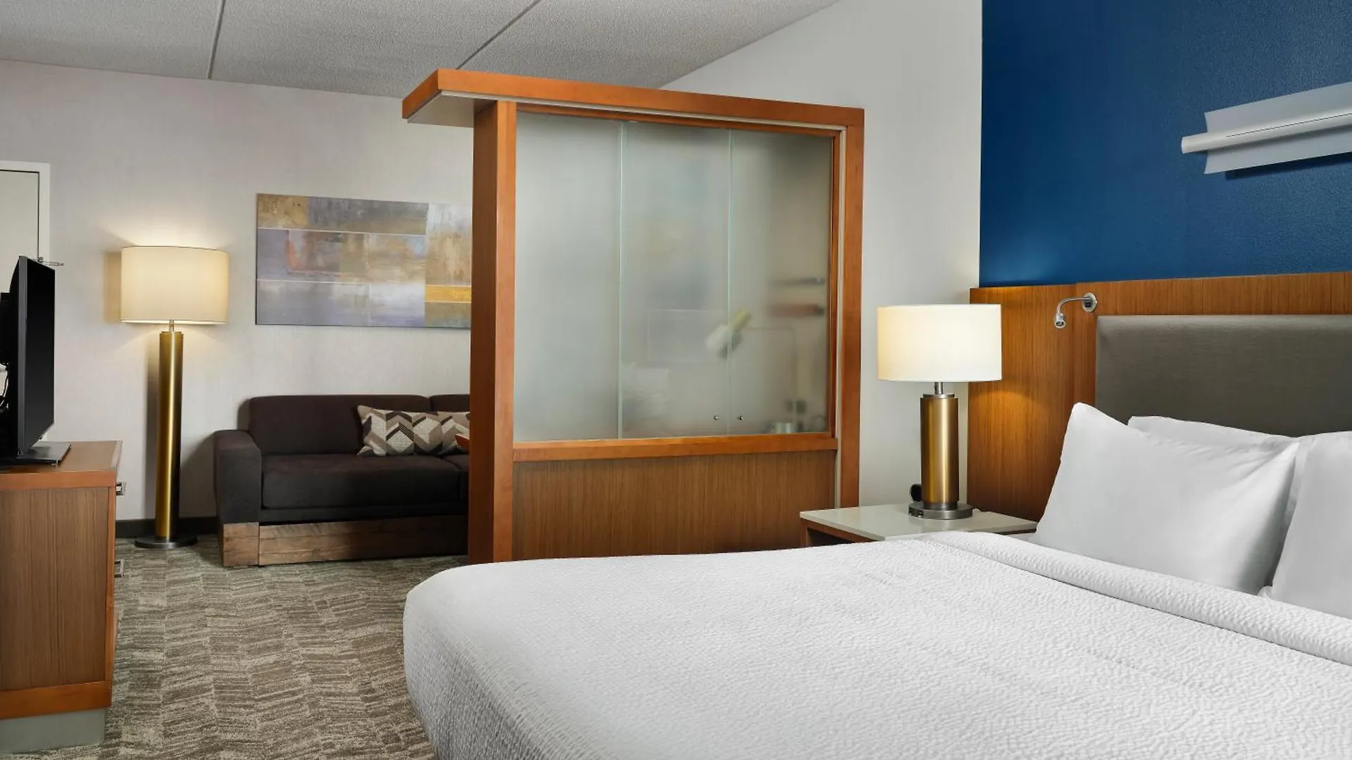 Hotel Springhill Suites By Marriott Pittsburgh Mt. Lebanon